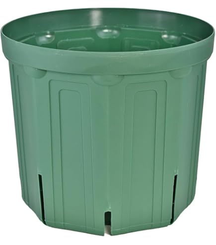 兼弥産業　ロングスリット鉢　モスグリーン　CSM-240L グリーン 60個入り Amazon | 兼弥産業 スリット鉢 CSM-240 モスグリーン | 鉢